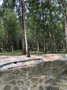 cabañas rurales que admiten perros