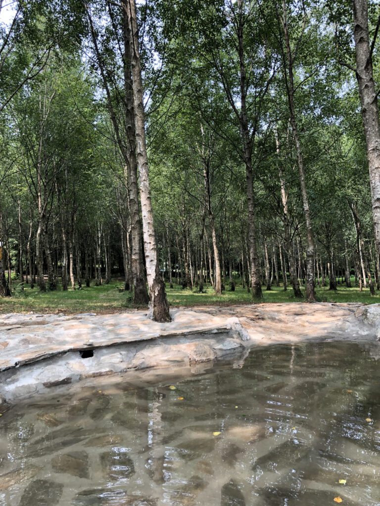 cabañas rurales que admiten perros