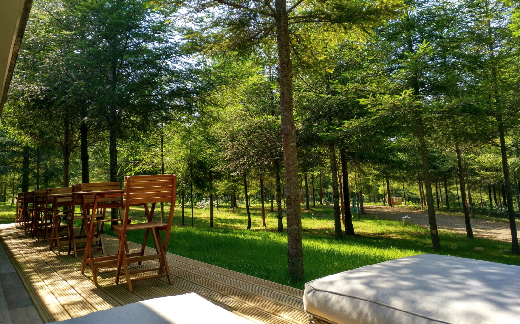 Bar de nuestro camping