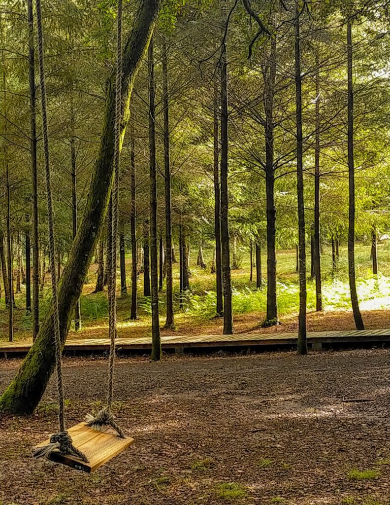 Columpio en el bosque