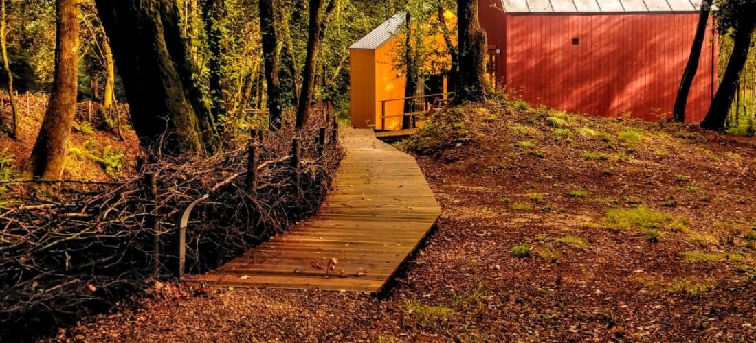 Cabañas en el bosque de Galicia